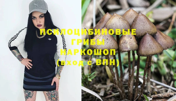 мяу мяу кристалл Надым