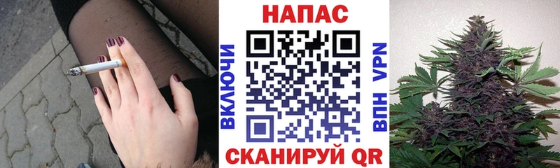 МАРИХУАНА план  наркотики  Николаевск 
